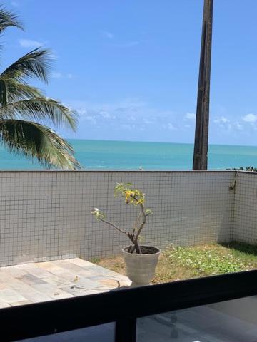 Paraiso Urbano João Pessoa